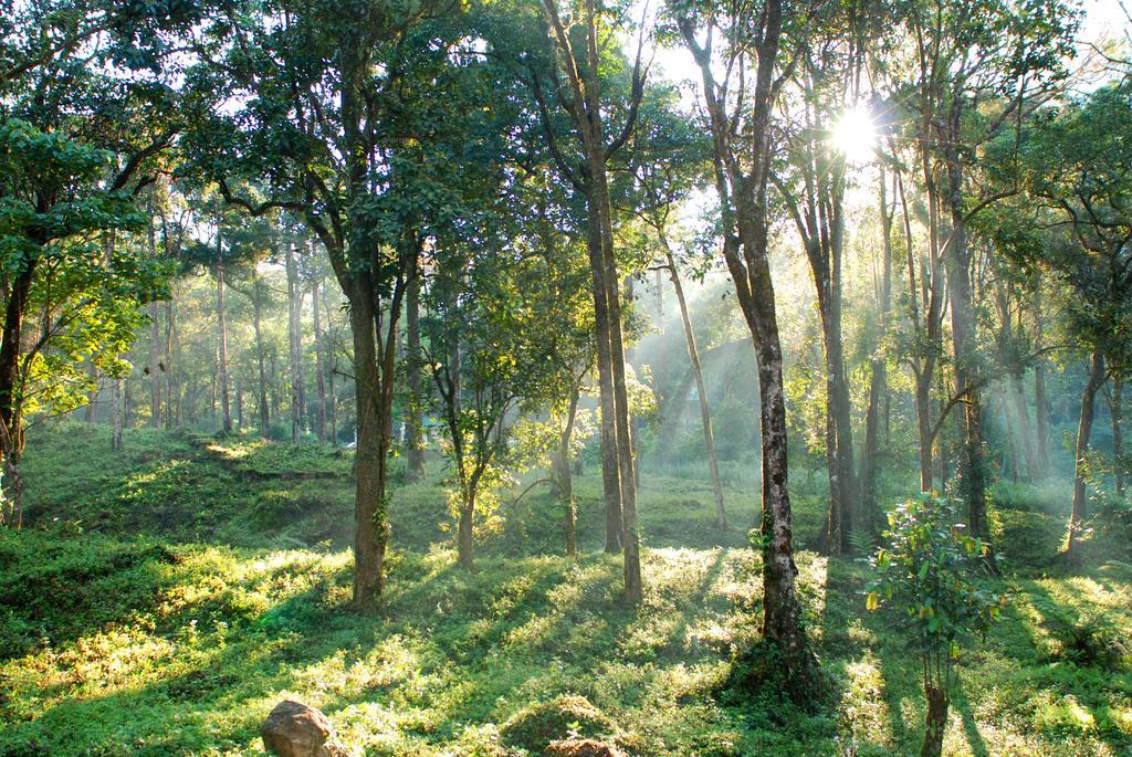Deep Woods Resort Munnar Exterior foto