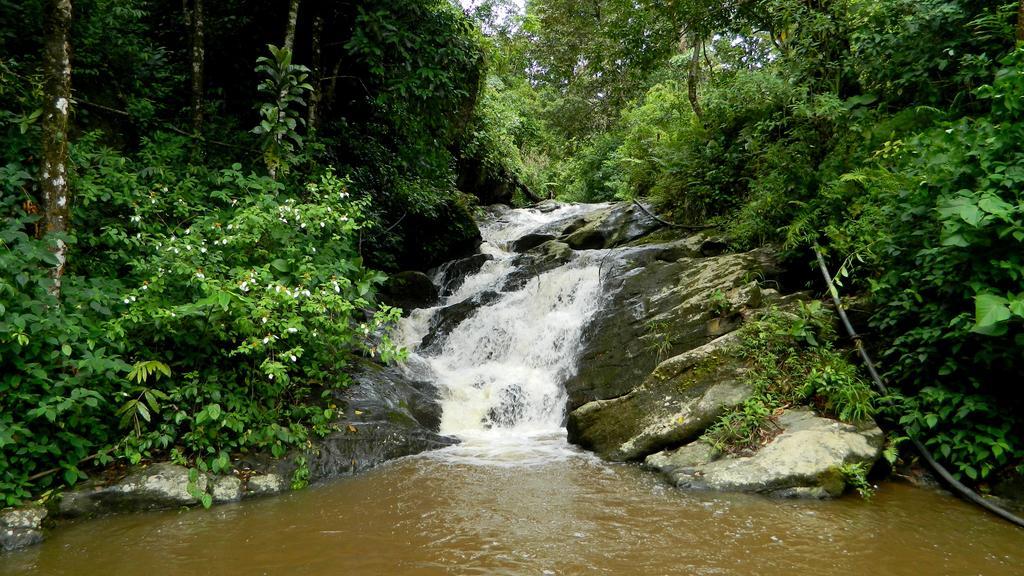 Deep Woods Resort Munnar Exterior foto