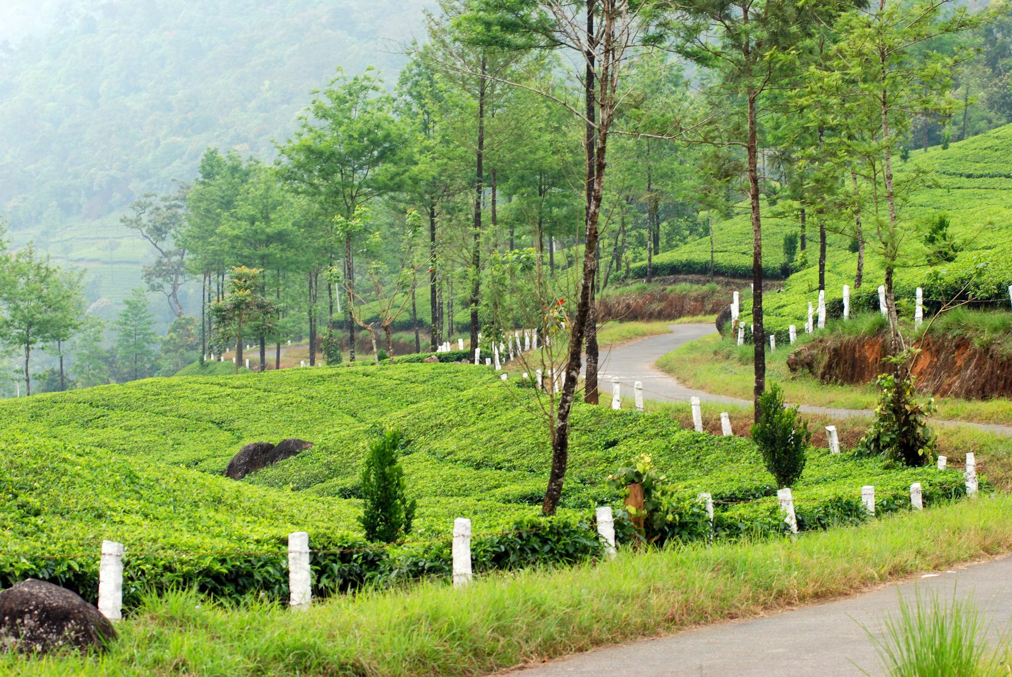 Deep Woods Resort Munnar Exterior foto